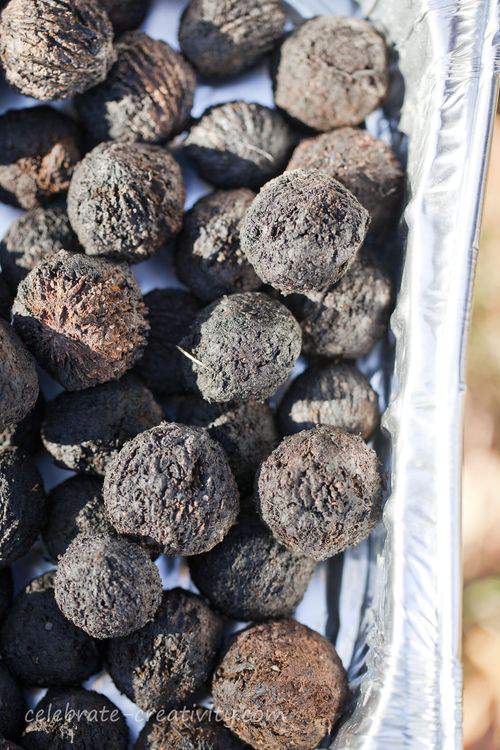 tray of black walnuts