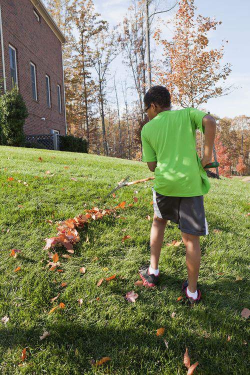 raking leaves