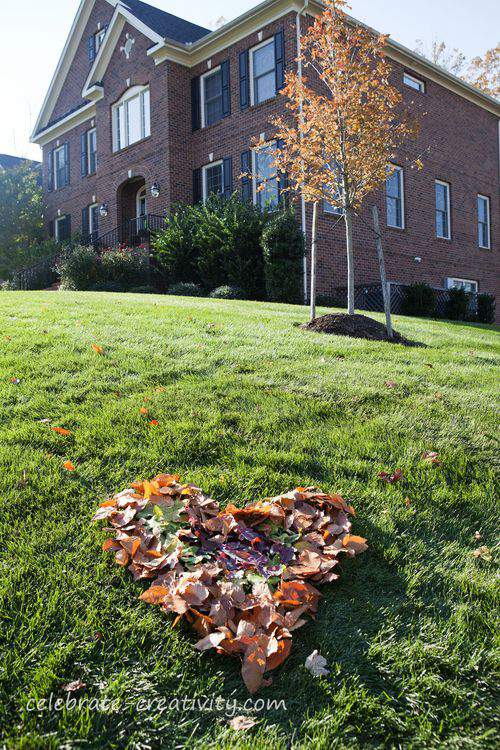 heart shaped leaves