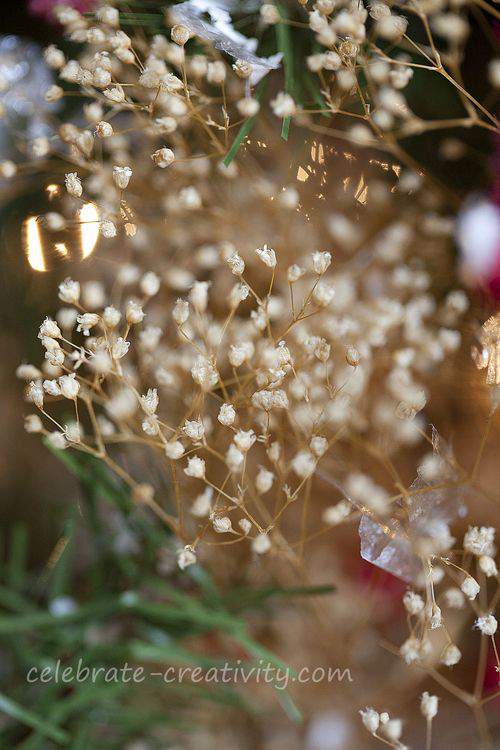 baby's breath