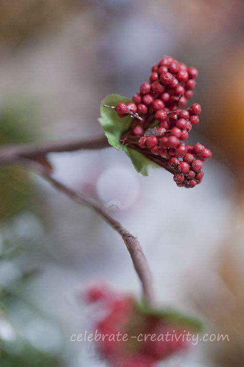 Berries