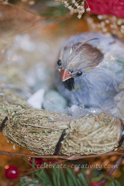 bird's nest and eggs