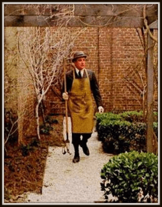 BEING THERE with Peter Sellers