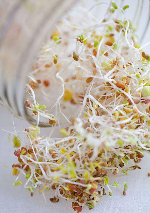 Open sprouts
