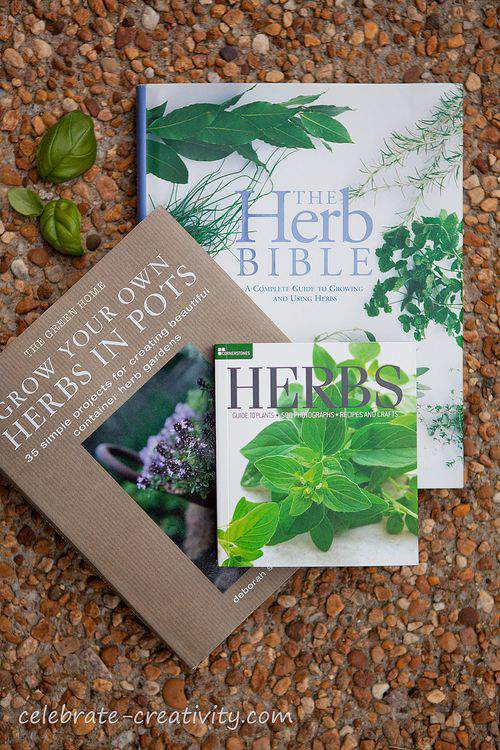 Blog-basil-books