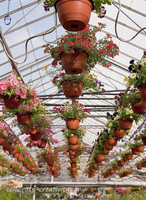 terra cotta colored hanging pots