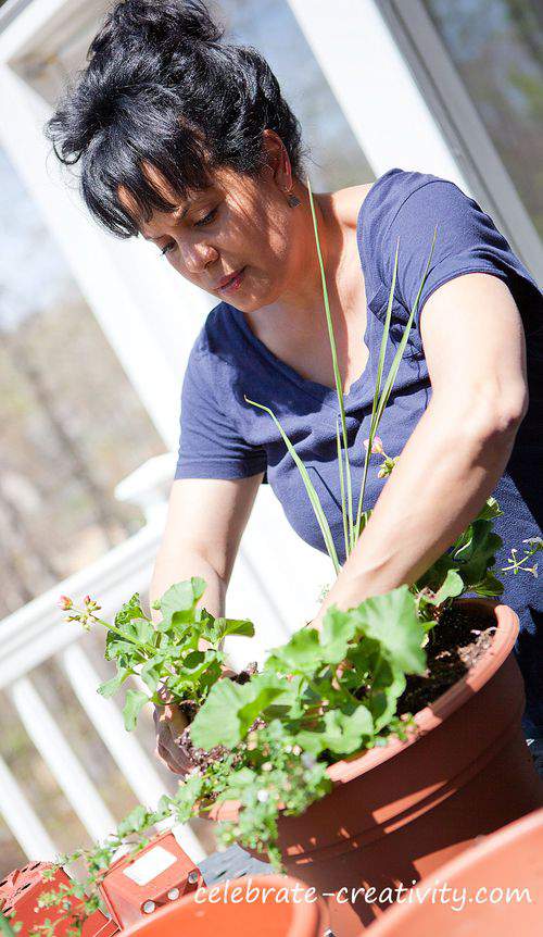 flower pot planting