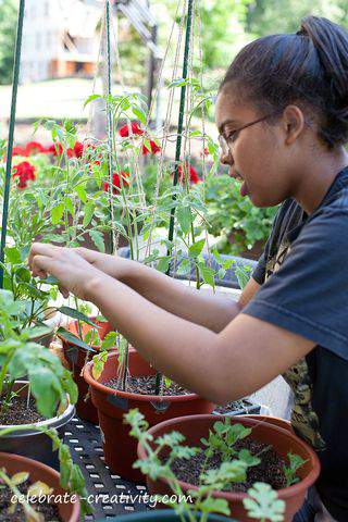 Cameron's container garden