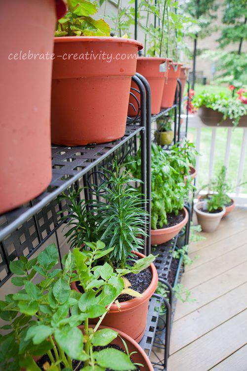 gardening racks