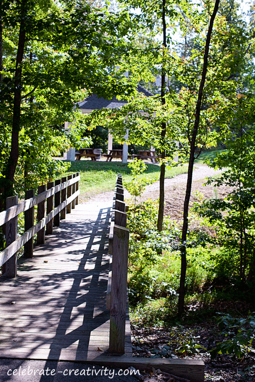 Oak Trees