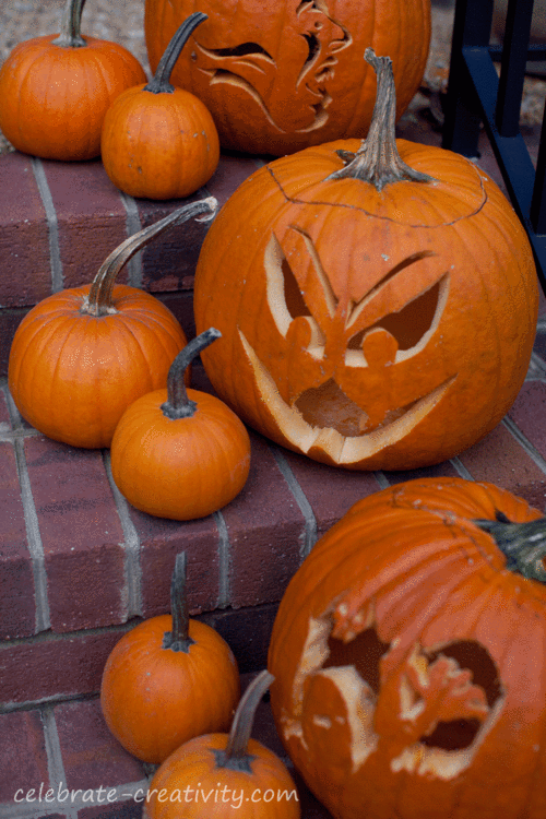 how-to-dry-pumpkin-stems-celebrate-creativity