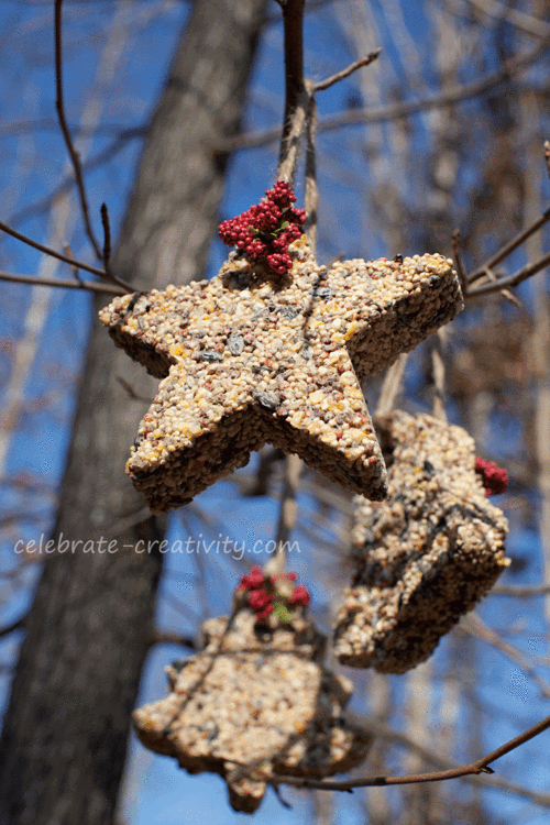 Birdseed-ornament-tree-hanging