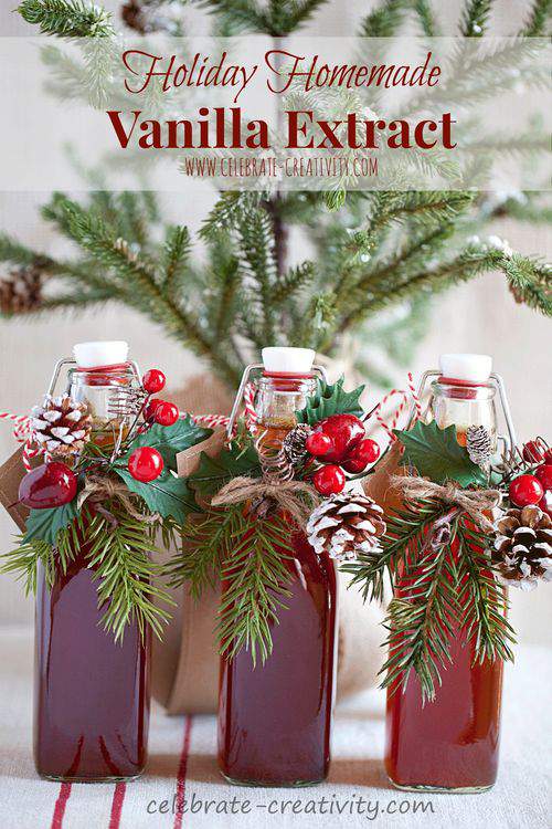 VANILLA EXTRACT GRAPHIC