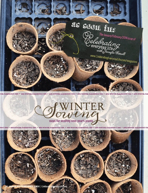 CEL-WinterSowing