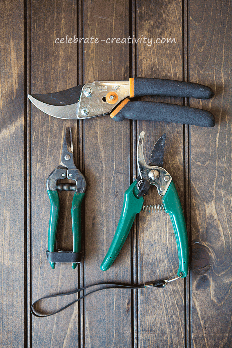 Tools-for-gardening-pruners