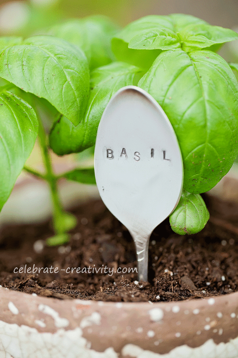 Garden-spoons-mint