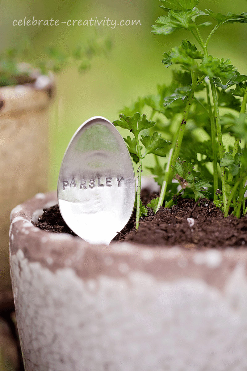 Garden-spoons-parsley3
