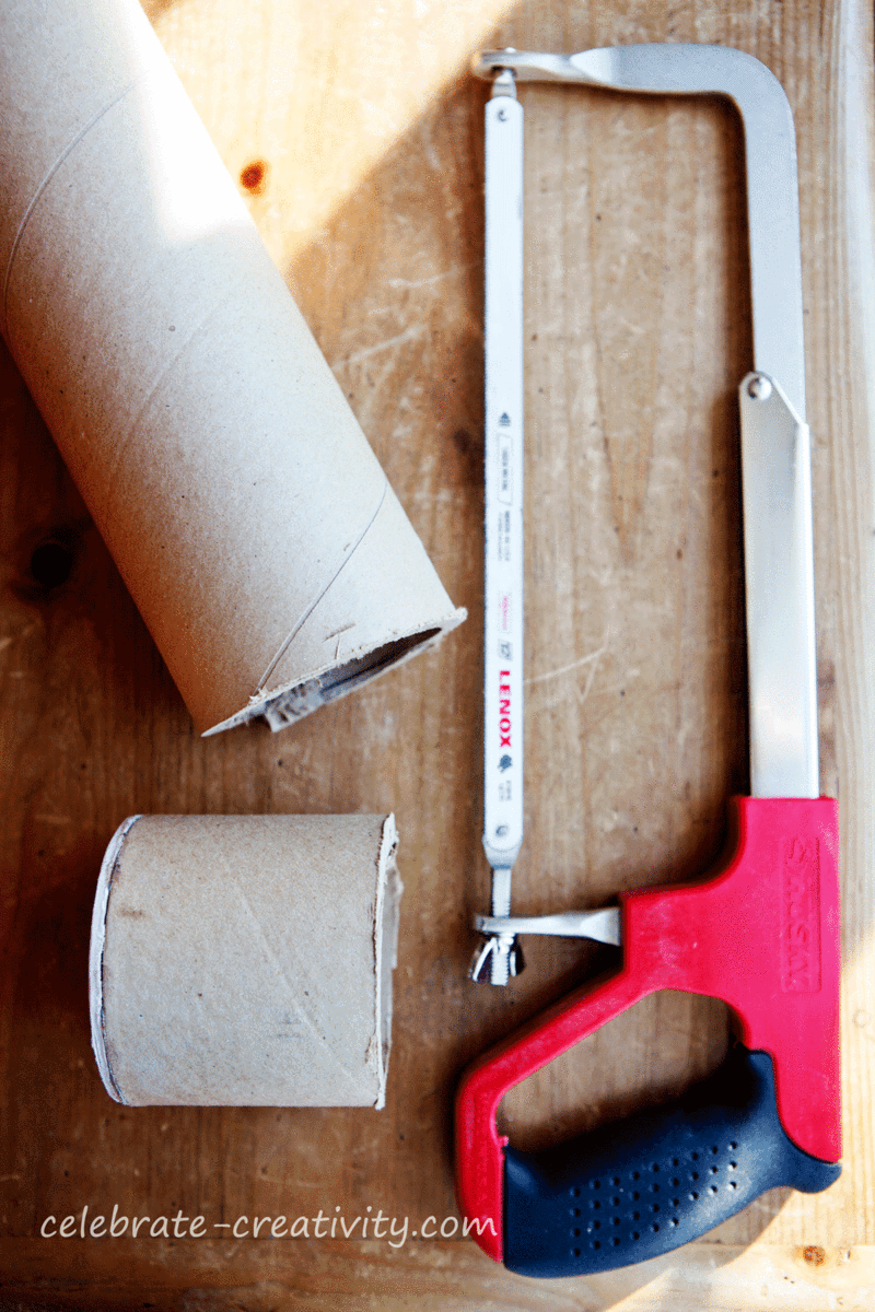 White-birch-pencil-holder-saw