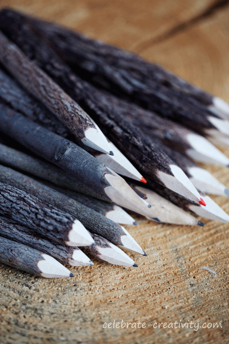 White-birch-bark-pencils5