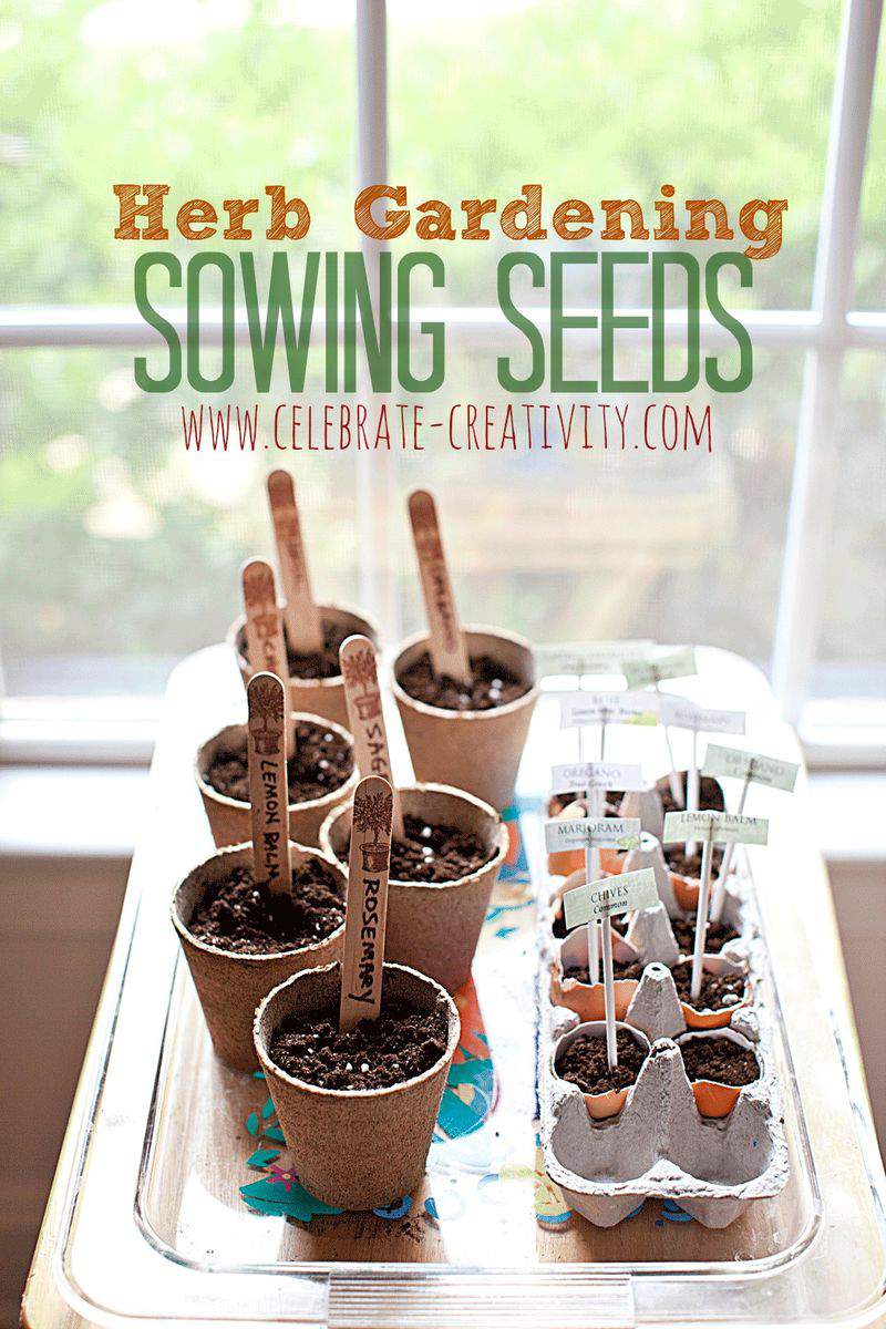 Sowing seeds graphic4