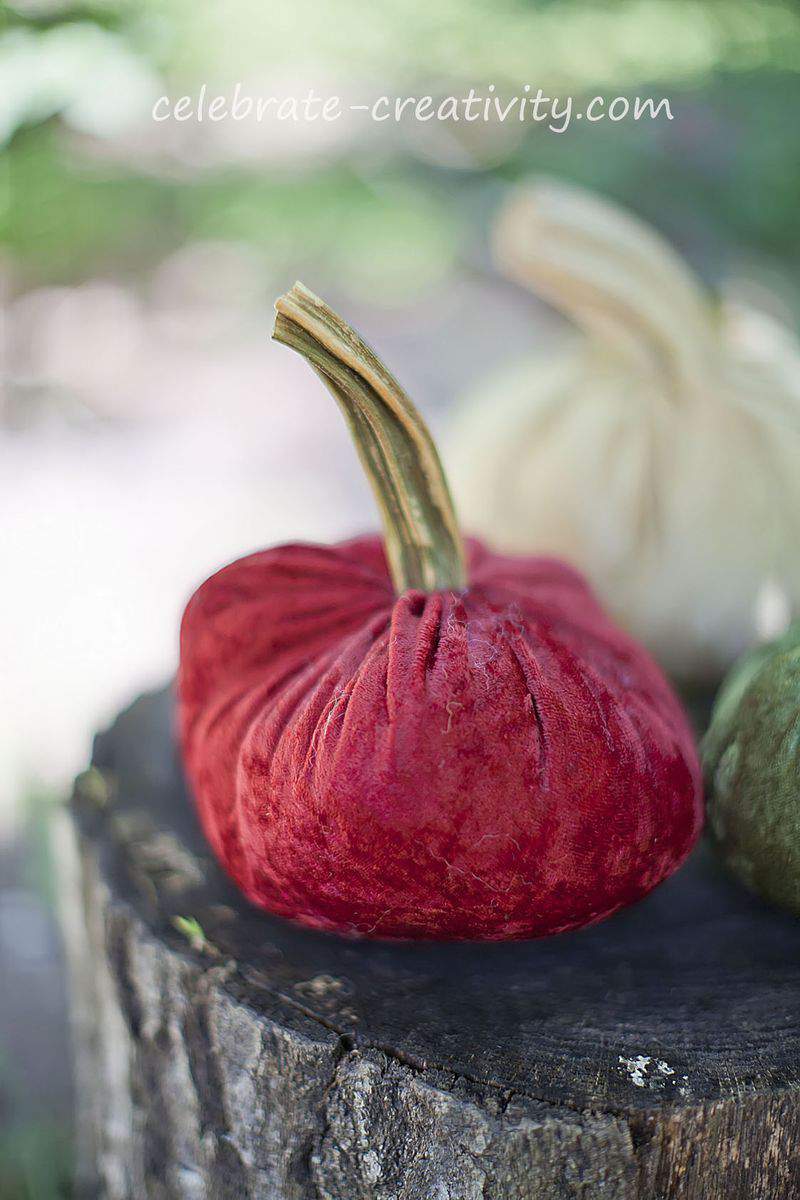 Velvet pumpkins4