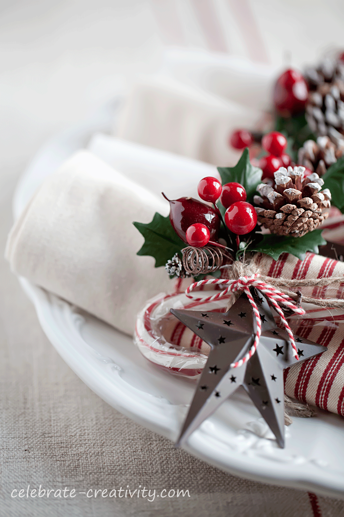 Holiday Napkin Decor - Celebrate Creativity