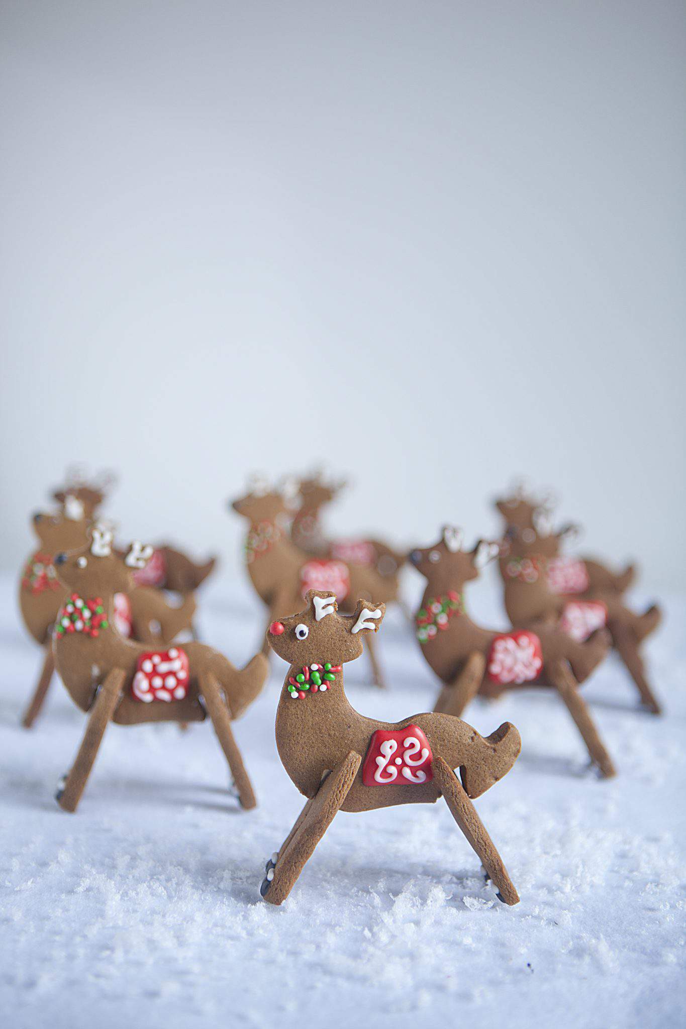 3D Gingerbread Sleigh & Reindeer Cutter Set