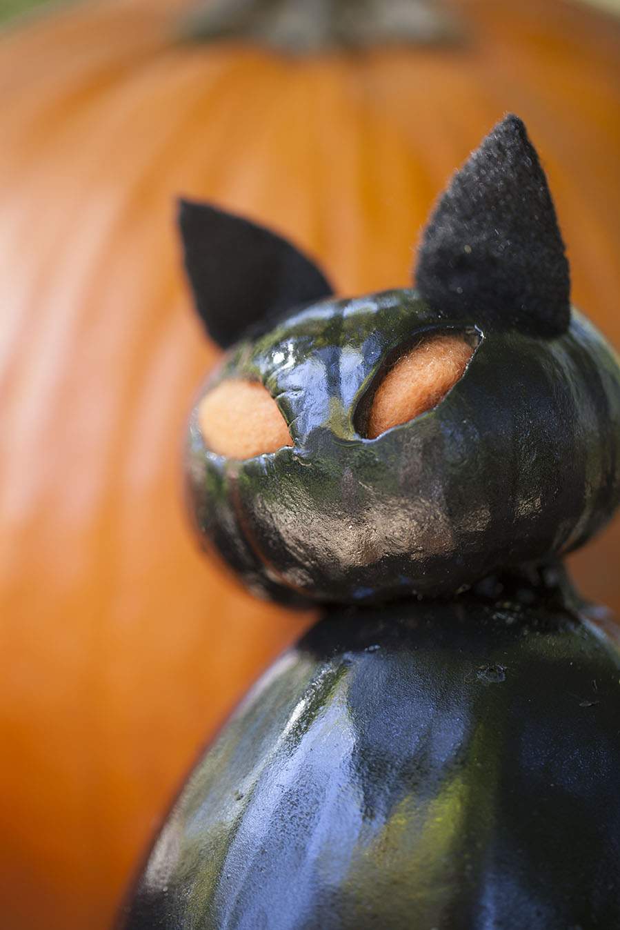 Pumpkin Carving Black Cat Family Celebrate Creativity