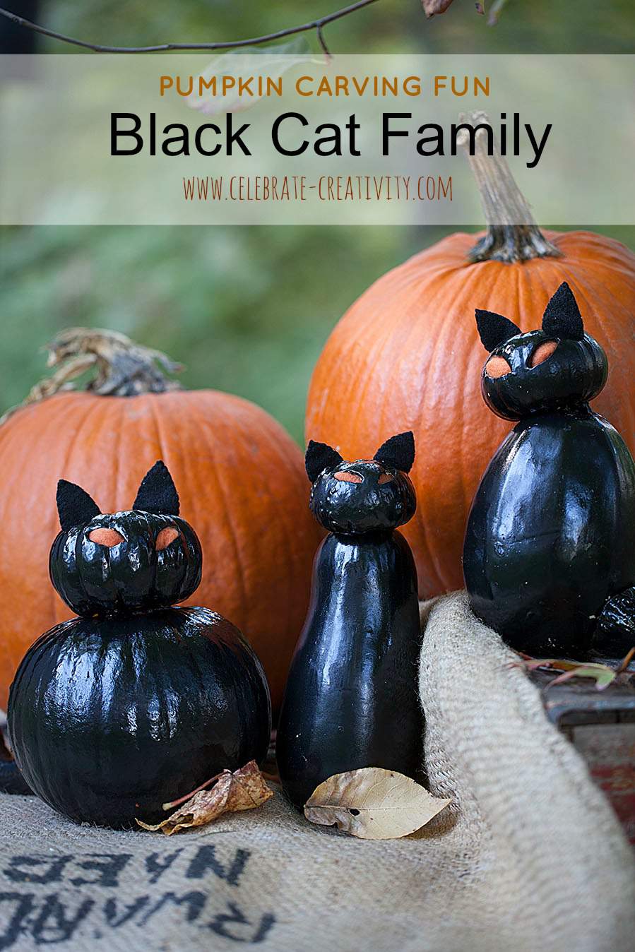Pumpkin Carving Black Cat Family - Celebrate Creativity
