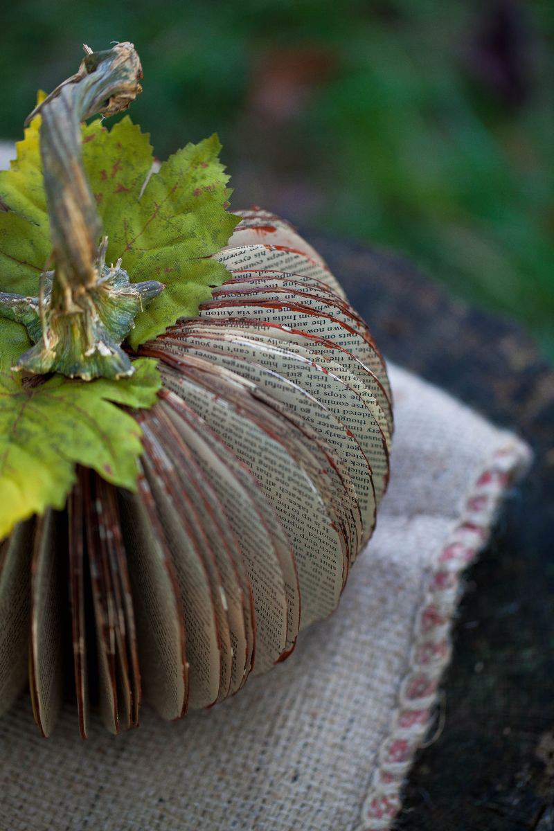 Book pumpkin stump4 (1 of 1)