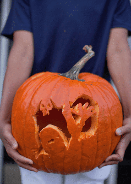 How do you dry out a wet pumpkin?