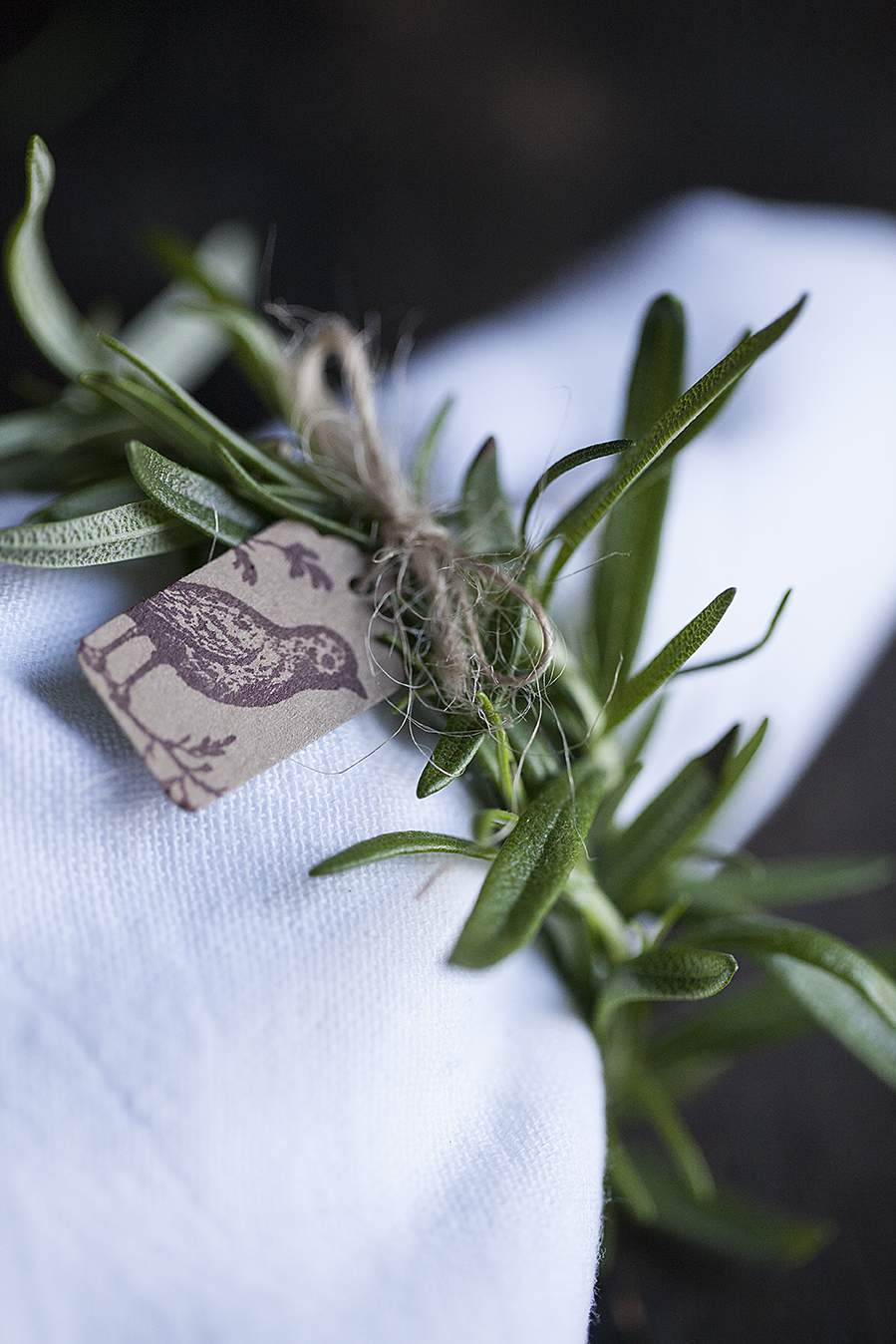 Garden Herbs Napkins