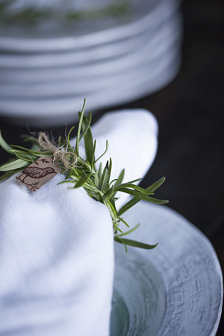 Garden Herbs Napkins