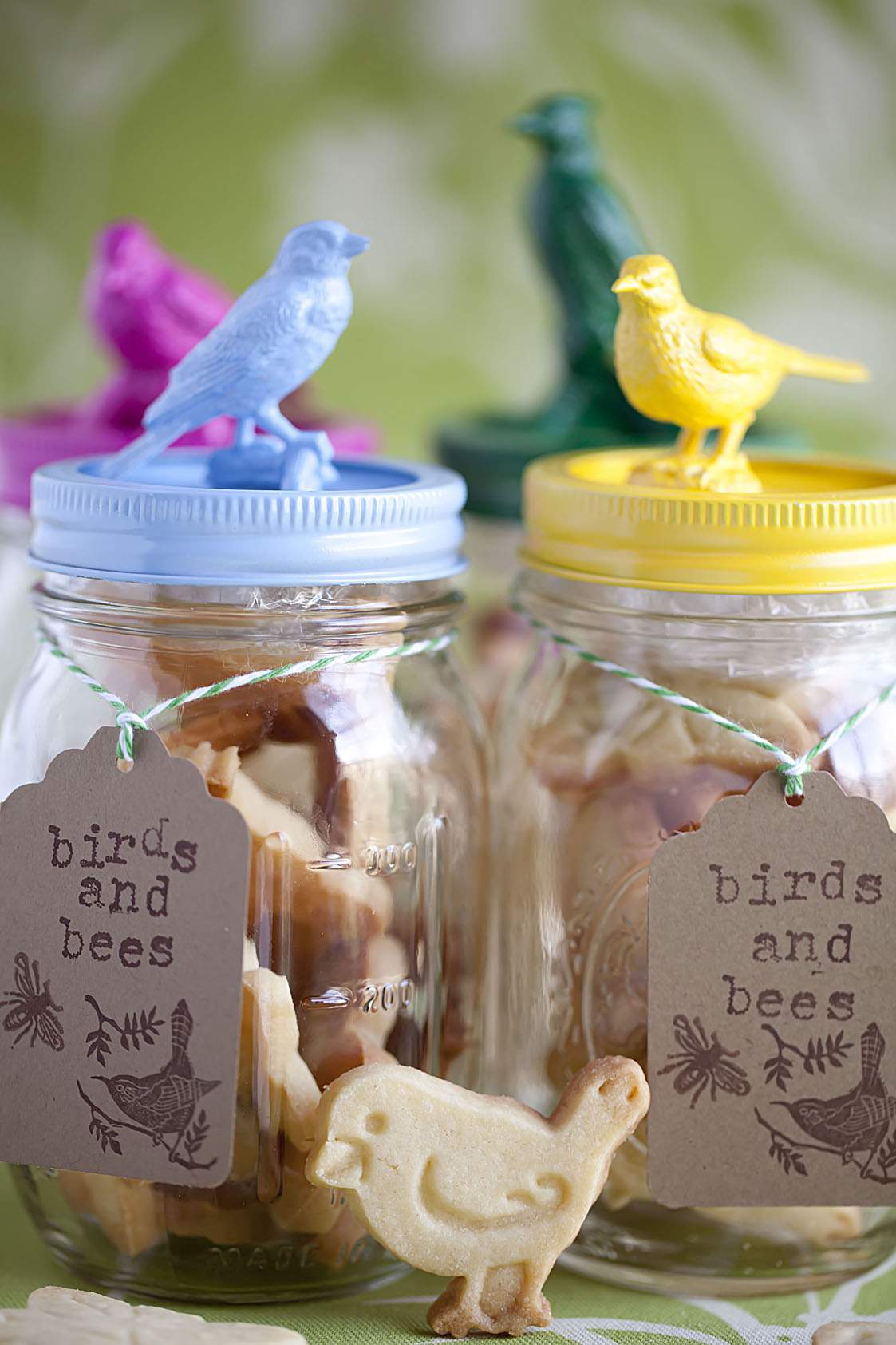 https://celebrate-creativity.com/wp-content/uploads/2016/01/bird-jar-cookie-birds.jpg