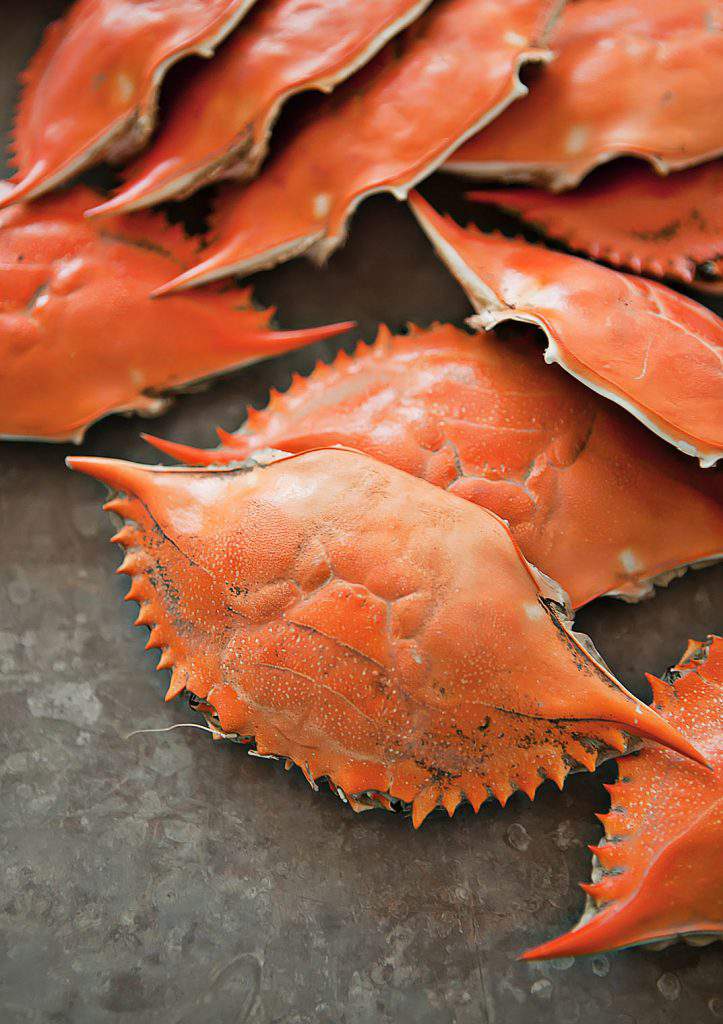 Crab Love And Memories Celebrate Creativity