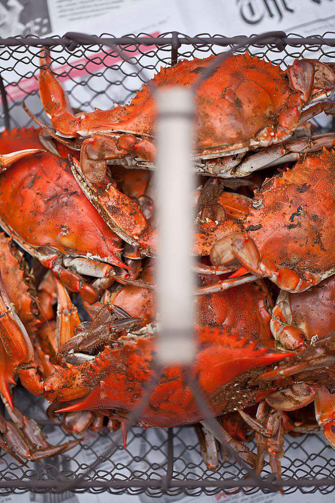 crabs in a basket