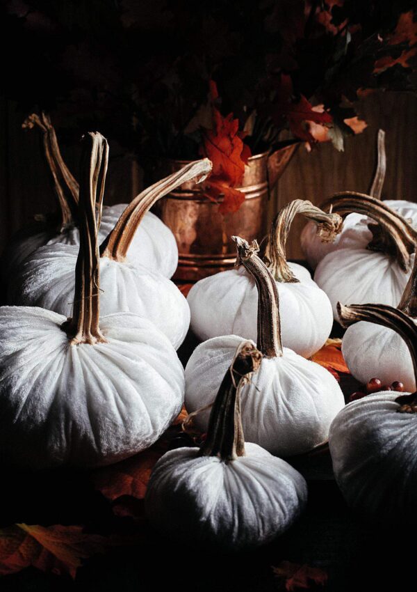 Soft Pumpkins With Real Stems