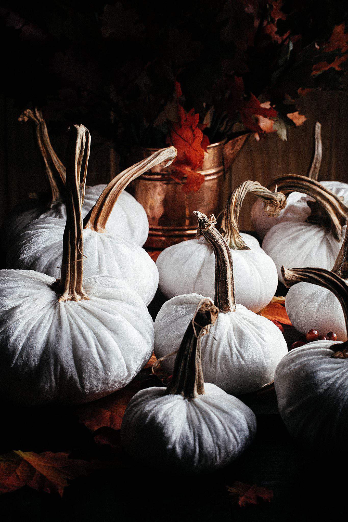 pumpkin elegant white photography