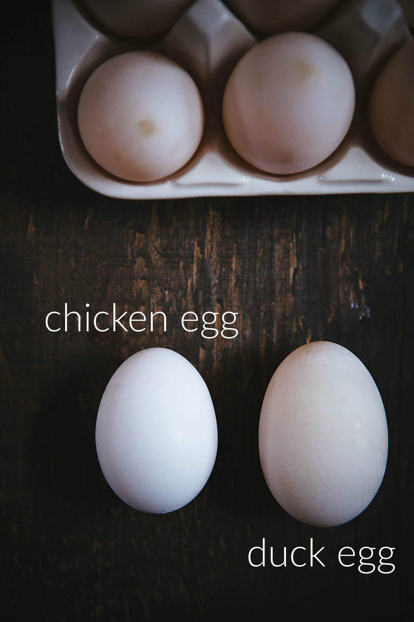 A Few Fun Facts About Duck Eggs | Celebrate Creativity