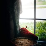 hot apple crisp