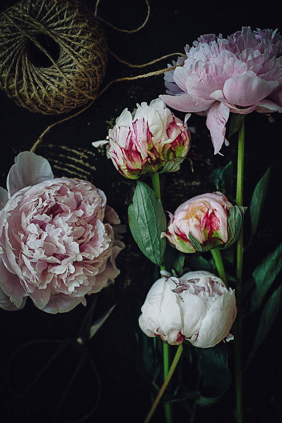 peonies