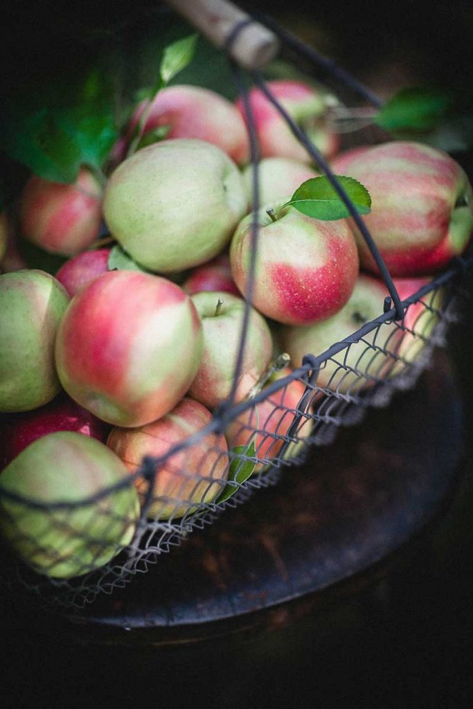 basket of apples