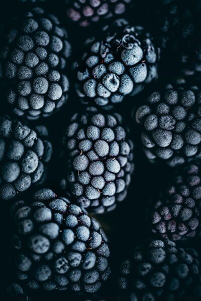 Blackberry Cobbler + Freezing Blackberries - Celebrate Creativity